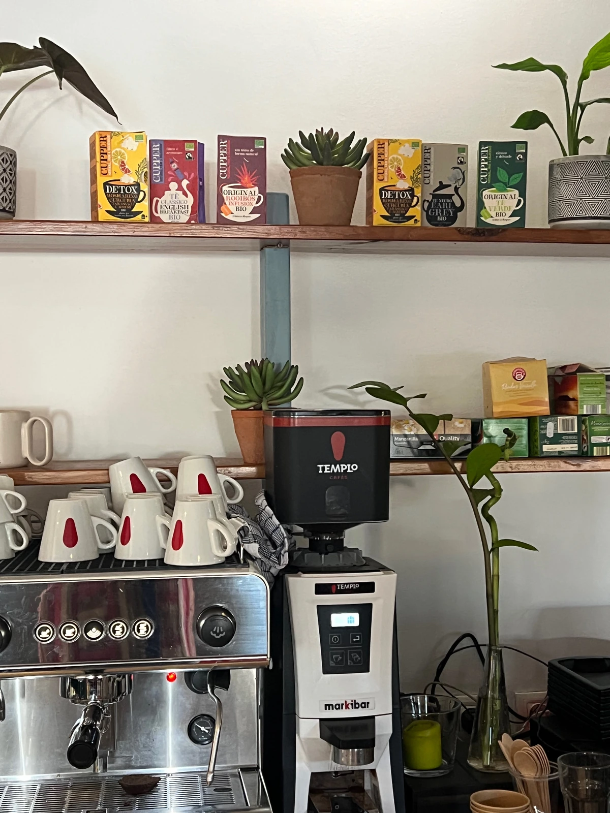 Cafetera y estantería de producto con plantas y vajilla