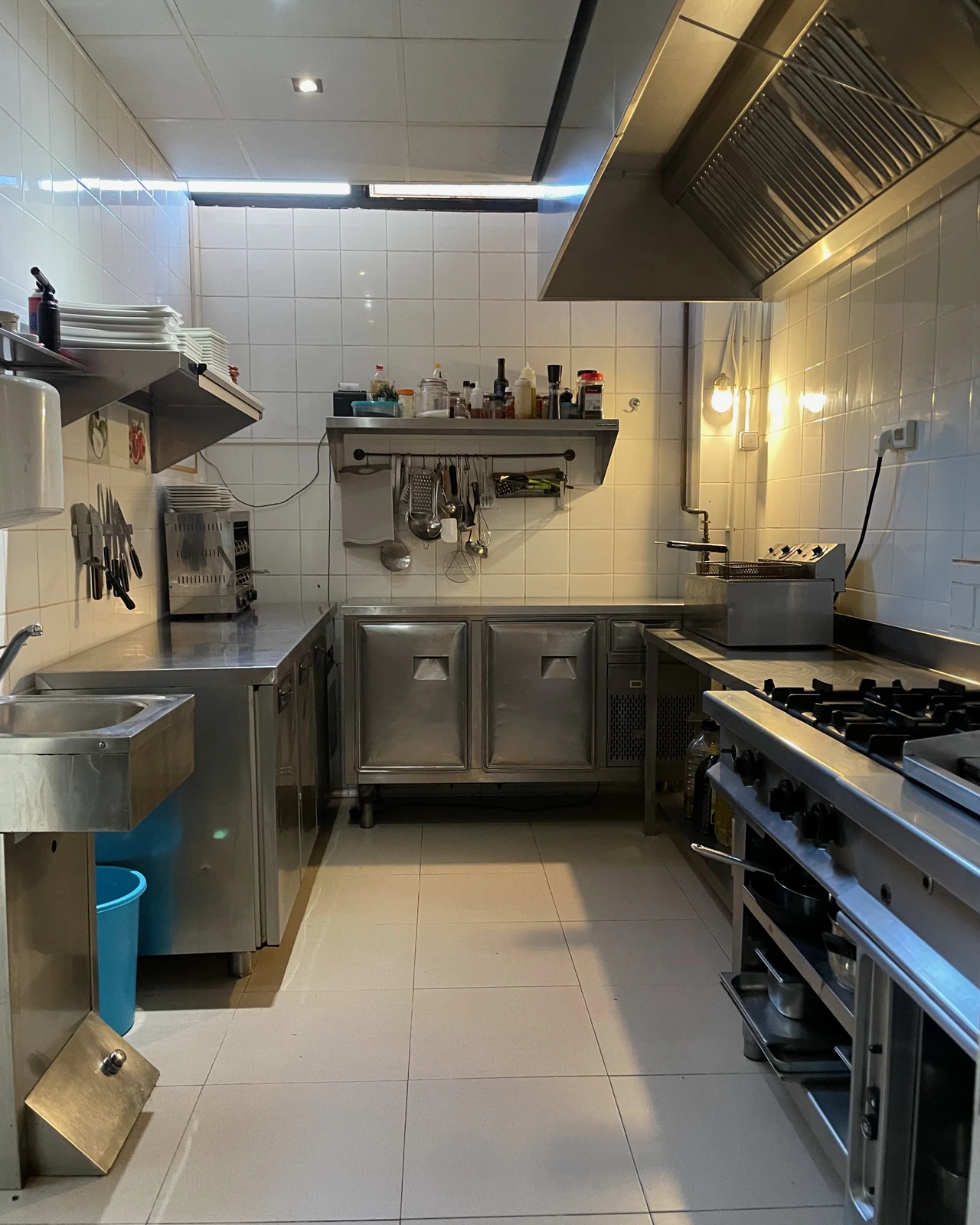 Línea estrecha de cocina con fregadero, zona de prep, fogón, estanterías y campana extractora